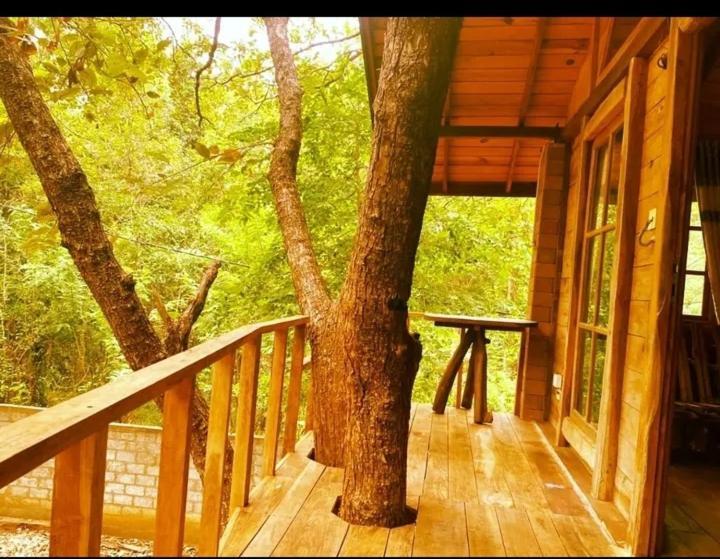 Luxury Tree House Villa Kibissa Dış mekan fotoğraf