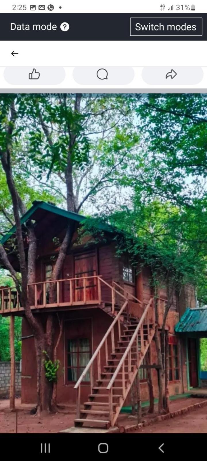 Luxury Tree House Villa Kibissa Dış mekan fotoğraf